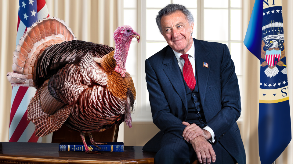 November Barbareschi